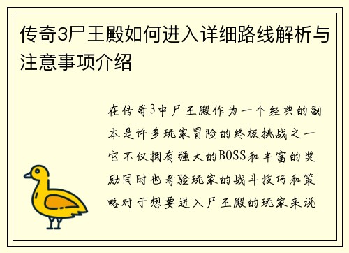 传奇3尸王殿如何进入详细路线解析与注意事项介绍 传奇3尸王殿如何进入详细路线解析与注意事项介绍